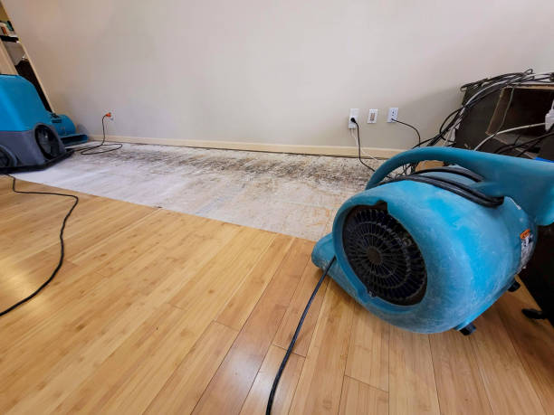 Professional Flood Damage Cleanup technician working in Beaverton, MI